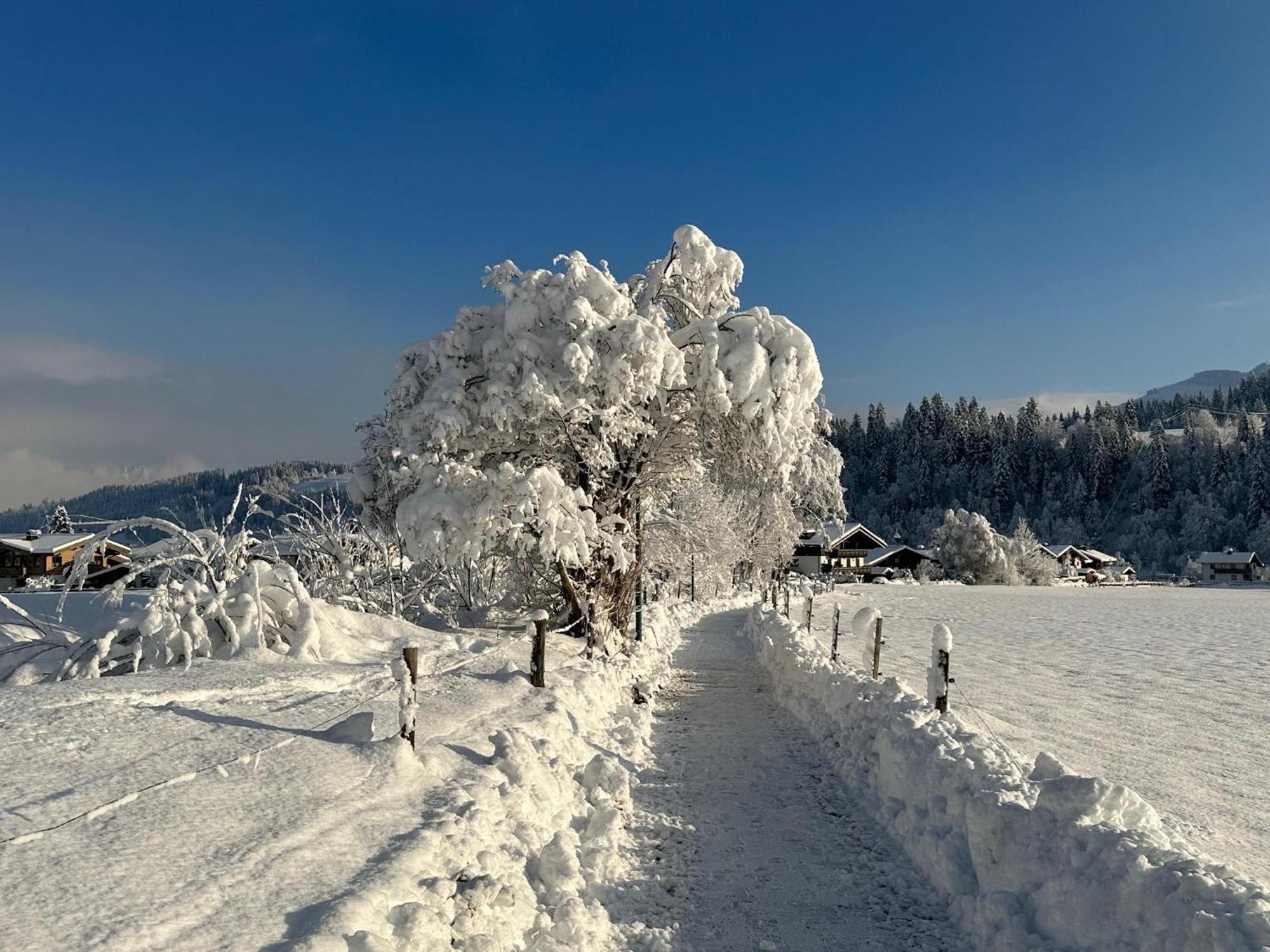 Pon-Apart Reith bei Kitzbühel Εξωτερικό φωτογραφία